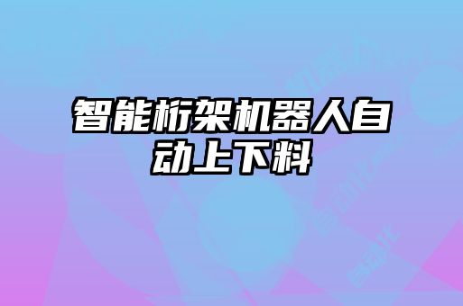 智能桁架機(jī)器人自動上下料