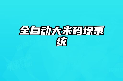 全自動大米碼垛系統