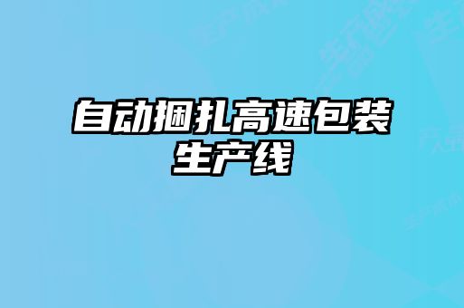 自動捆扎高速包裝生產線
