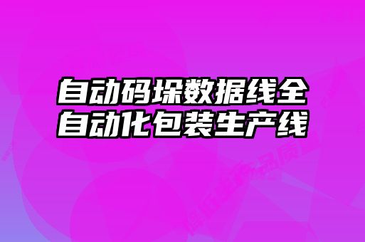 自動碼垛數據線全自動化包裝生產線