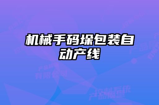 機械手碼垛包裝自動產線
