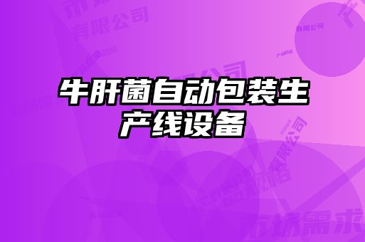 牛肝菌自動包裝生產(chǎn)線設備