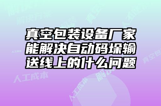 真空包裝設備廠家能解決自動碼垛輸送線上的什么問題