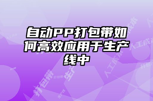 自動PP打包帶如何高效應用于生產線中