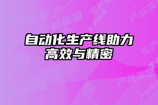 自動化生產線助力高效與精密