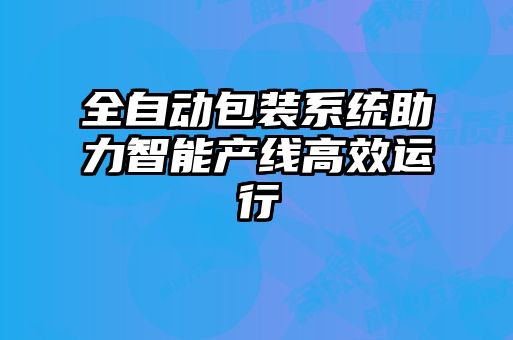 全自動包裝系統助力智能產線高效運行