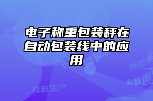 電子稱重包裝秤在自動包裝線中的應用