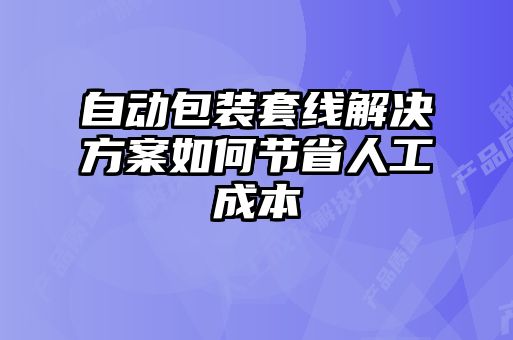 自動(dòng)包裝套線解決方案如何節(jié)省人工成本