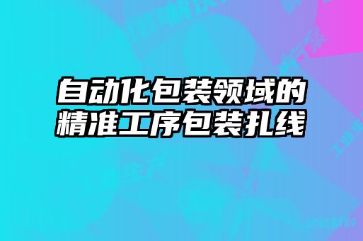 自動化包裝領域的精準工序包裝扎線