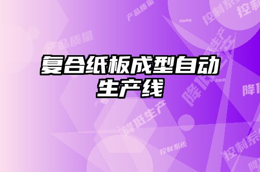 復(fù)合紙板成型自動(dòng)生產(chǎn)線(xiàn)