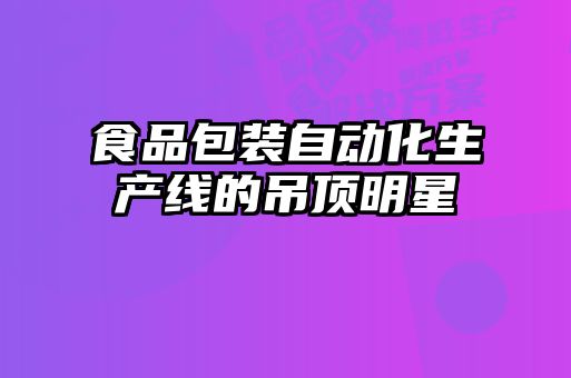 食品包裝自動化生產線的吊頂明星